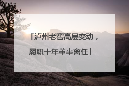 泸州老窖高层变动，履职十年董事离任