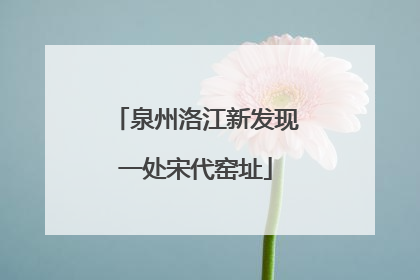 泉州洛江新发现一处宋代窑址