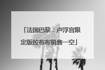 法国巴黎：卢浮宫限定版拉布布销售一空
