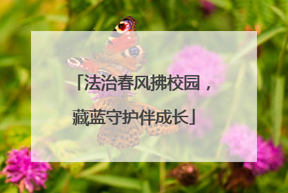 法治春风拂校园，藏蓝守护伴成长