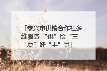泰兴市供销合作社多维服务 “供”绘“三夏”好“丰”景