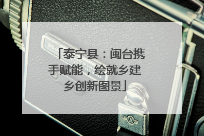 泰宁县：闽台携手赋能，绘就乡建乡创新图景