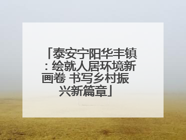泰安宁阳华丰镇：绘就人居环境新画卷 书写乡村振兴新篇章