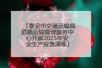 泰安市交通运输局道路运输管理服务中心开展2025年安全生产应急演练