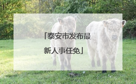 泰安市发布最新人事任免