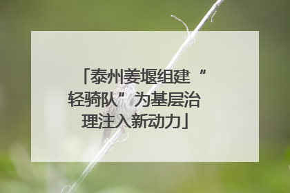 泰州姜堰组建“轻骑队”为基层治理注入新动力