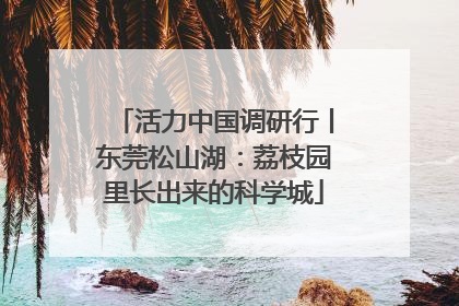 活力中国调研行丨东莞松山湖：荔枝园里长出来的科学城