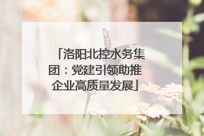洛阳北控水务集团：党建引领助推企业高质量发展