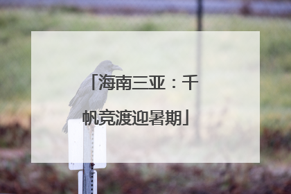 海南三亚：千帆竞渡迎暑期