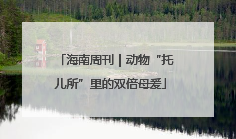 海南周刊｜动物“托儿所”里的双倍母爱