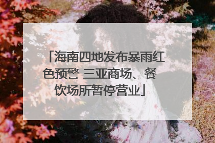 海南四地发布暴雨红色预警 三亚商场、餐饮场所暂停营业