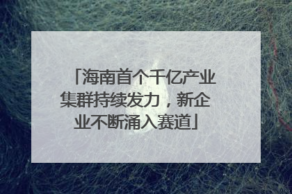 海南首个千亿产业集群持续发力，新企业不断涌入赛道
