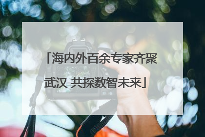 海内外百余专家齐聚武汉 共探数智未来