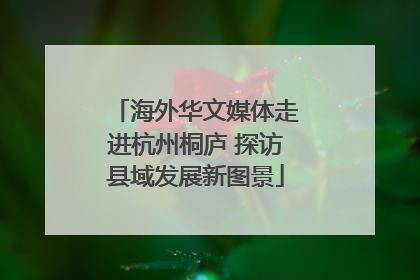 海外华文媒体走进杭州桐庐 探访县域发展新图景