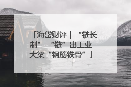 海岱财评｜“链长制” “链”出工业大梁“钢筋铁骨”