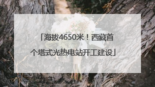 海拔4650米！西藏首个塔式光热电站开工建设