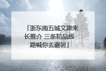 浙东南五城文旅来长推介 三条精品线路喊你去避暑