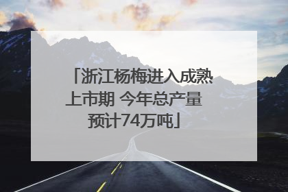 浙江杨梅进入成熟上市期 今年总产量预计74万吨