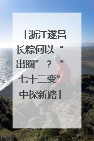 浙江遂昌长粽何以“出圈”？“七十二变”中探新路