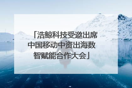 浩鲸科技受邀出席中国移动中资出海数智赋能合作大会