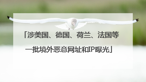 涉美国、德国、荷兰、法国等 一批境外恶意网址和IP曝光