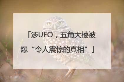 涉UFO，五角大楼被爆“令人震惊的真相”