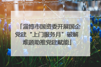 淄博市国资委开展国企党建“上门服务月”破解难题助推党建赋能