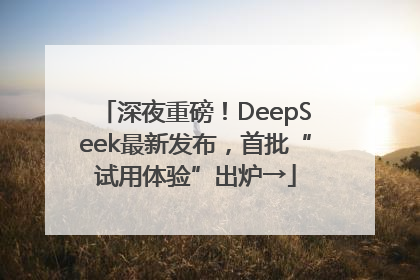 深夜重磅！DeepSeek最新发布，首批“试用体验”出炉→