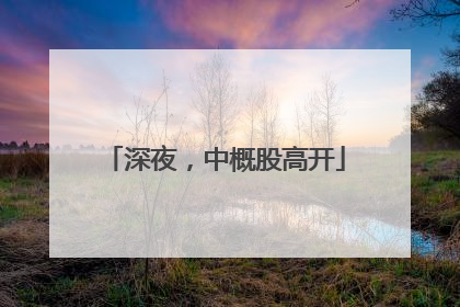 深夜，中概股高开