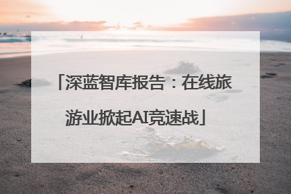 深蓝智库报告：在线旅游业掀起AI竞速战