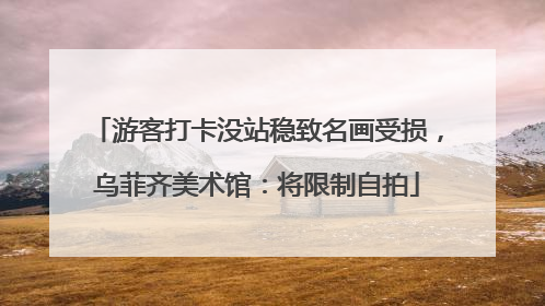 游客打卡没站稳致名画受损，乌菲齐美术馆：将限制自拍