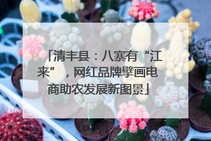 清丰县：八寨有“江来”，网红品牌擘画电商助农发展新图景