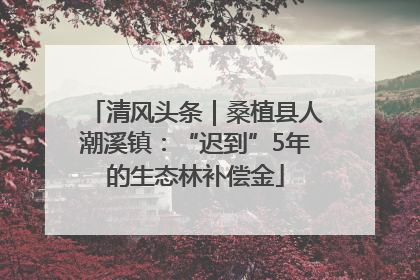 清风头条｜桑植县人潮溪镇：“迟到”5年的生态林补偿金