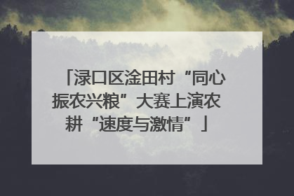 渌口区淦田村“同心振农兴粮”大赛上演农耕“速度与激情”