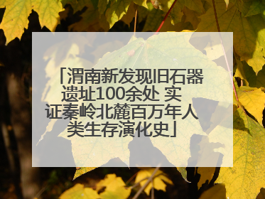 渭南新发现旧石器遗址100余处 实证秦岭北麓百万年人类生存演化史