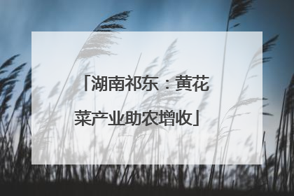 湖南祁东：黄花菜产业助农增收