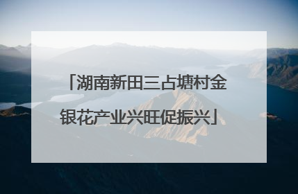湖南新田三占塘村金银花产业兴旺促振兴