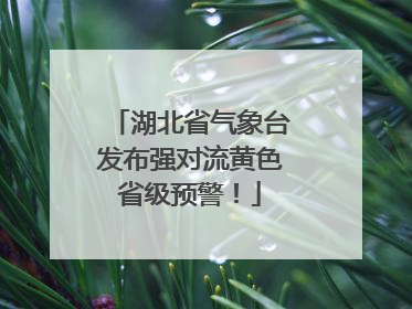 湖北省气象台发布强对流黄色省级预警！