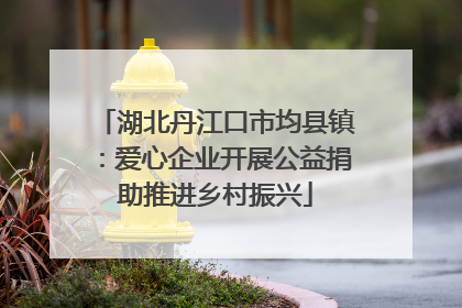 湖北丹江口市均县镇：爱心企业开展公益捐助推进乡村振兴