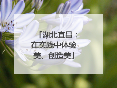 湖北宜昌：在实践中体验美、创造美