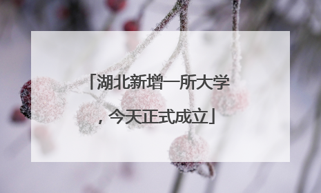 湖北新增一所大学，今天正式成立