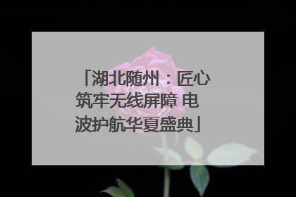 湖北随州：匠心筑牢无线屏障 电波护航华夏盛典