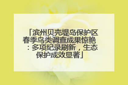 滨州贝壳堤岛保护区春季鸟类调查成果惊艳：多项纪录刷新，生态保护成效显著