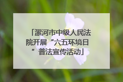 漯河市中级人民法院开展“六五环境日”普法宣传活动