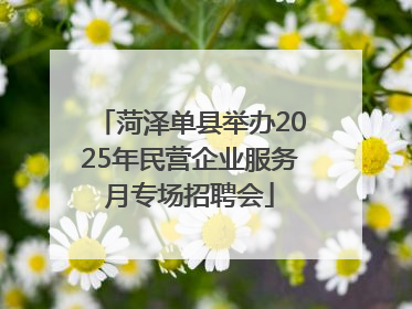 菏泽单县举办2025年民营企业服务月专场招聘会
