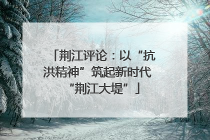 荆江评论：以“抗洪精神”筑起新时代“荆江大堤”
