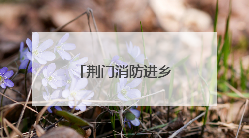 荆门消防进乡镇开展“沉浸式”培训与演练