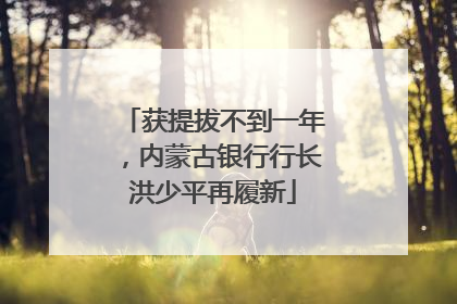 获提拔不到一年，内蒙古银行行长洪少平再履新