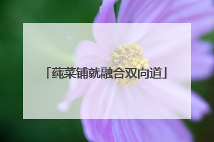 莼菜铺就融合双向道