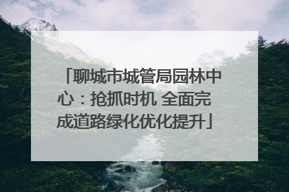 聊城市城管局园林中心：抢抓时机 全面完成道路绿化优化提升